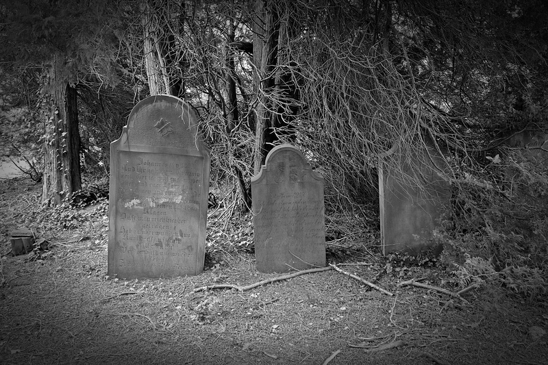 memorial, sadness, Cemetery, historically, mourning, tranquility, death, Grave, black And White, trunk, the past, nature, 5K, tree trunk, plant, no People