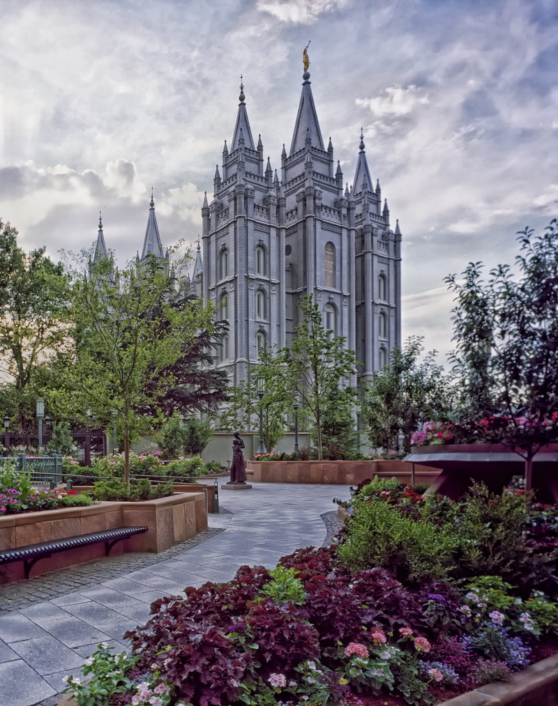 plant, no people, walkway, built structure, water, outside, historic, white, cathedral, building exterior, hdr, concrete, landmark, belief, photo, growth