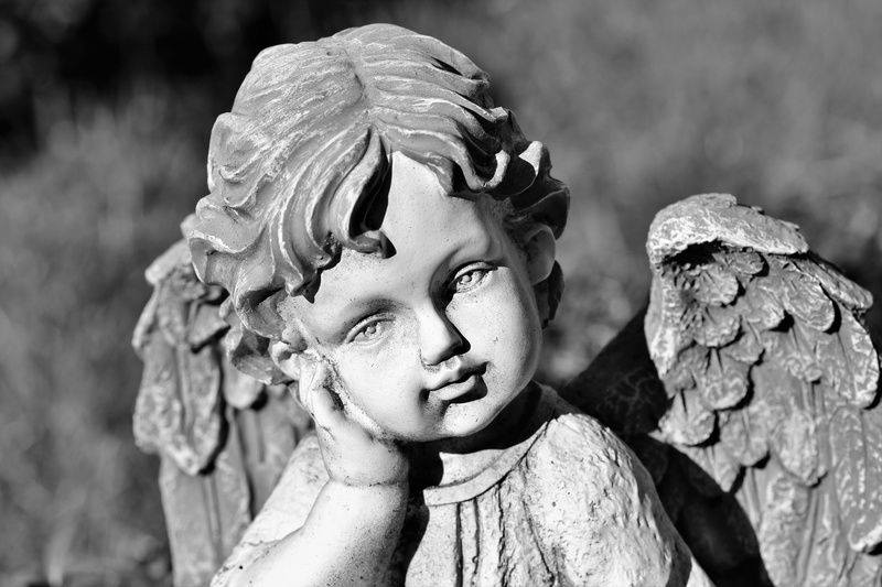 sculpture, tombstone, cemetery, 5K, angel, angel figure, female likeness, flower, plant, wing, people, face, heavenly, nature, statue, art and craft, deco
