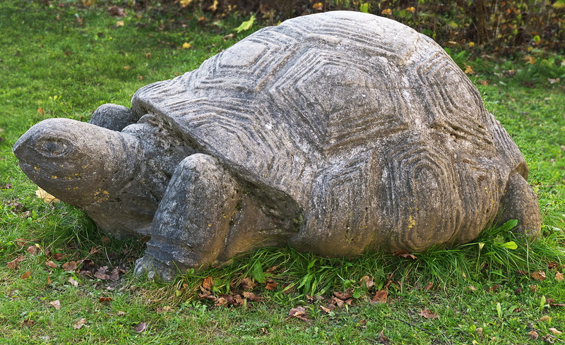 natural stone, stone sculpture, travel destinations, artwork, no people, land, animal, 4K, tortoise, animal shell, day, stone statue, nature, close-up