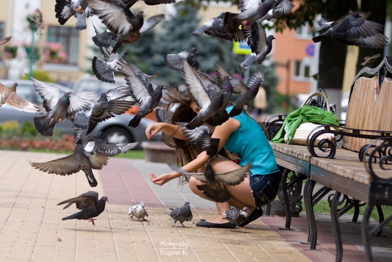 motion, group of animals, nature, women, animal themes, vertebrate, real people, incidental people, flying, spread wings, animal, outdoors, pigeons, street