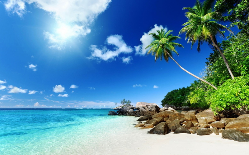 clouds, beauty in nature, outdoors, beach, cloud - sky, stones, white, sky, sand, horizon, land, tropical climate, sea, 1080P, palm trees, nature, coconut palm tree