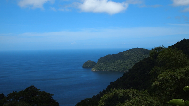 idyllic, scenics, horizon, land, island life, north coast trinidad, water, nature, tranquility, trinidad and tobago, Trinidad, tree, North Coast, plant