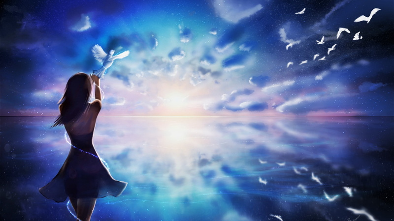 1080P, pigeons, birds, girl, sky, back, night, fantasy