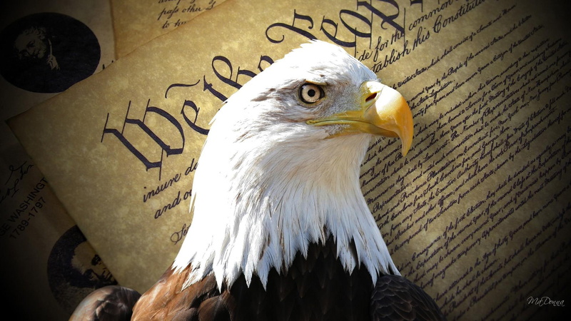 eagle, 1080P, firefox persona, untied states of america, independence day, freedom, dom, patriotic, history