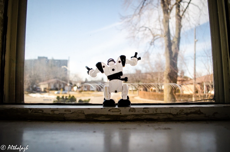 vertebrate, window sill, robosapien, robot, domestic animals, no people, tree, nature, day, reflection, representation, animal themes, freedom, selective focus