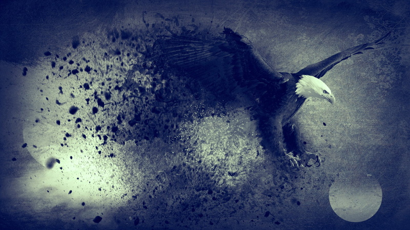 moon, dark, horror, illustration, wildlife, freedom, no People, blue, 1080P, black Color, abstract, eagle, bird, sea, digital art, nature, old, flying