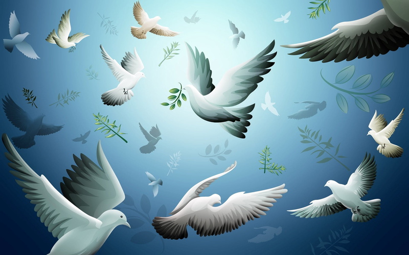 backgrounds, day, wildlife, swimming, flock of birds, animal Wing, bird, feather, vector, vertebrate, animal themes, sea, abstract, white, marine, drawing
