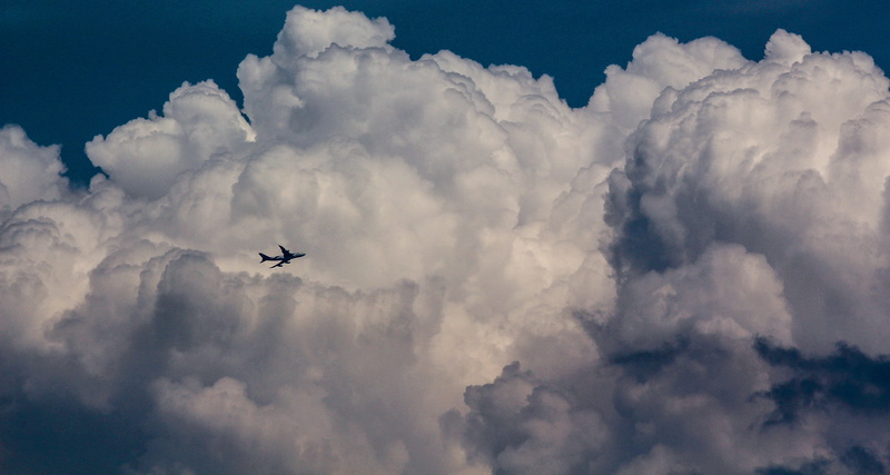 wing, peace, one animal, blue, holiday, singapore, no people, aircraft, vacation, motion, mode of transportation, aerospace industry, fly, high, sky, cloud