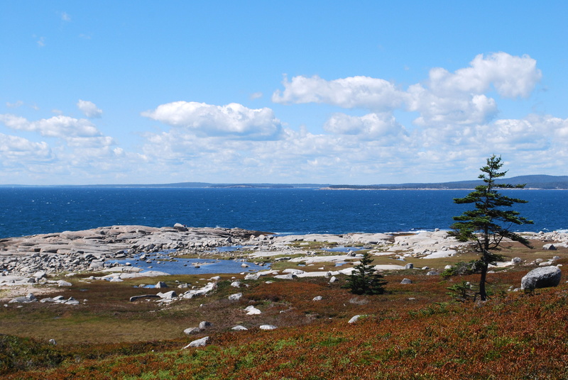 tranquility, scenics - nature, panoramic, scenics, outdoors, nova, water, 4K, plant, nature, horizon, tree, Coastline, blue, Landscape, beauty in nature