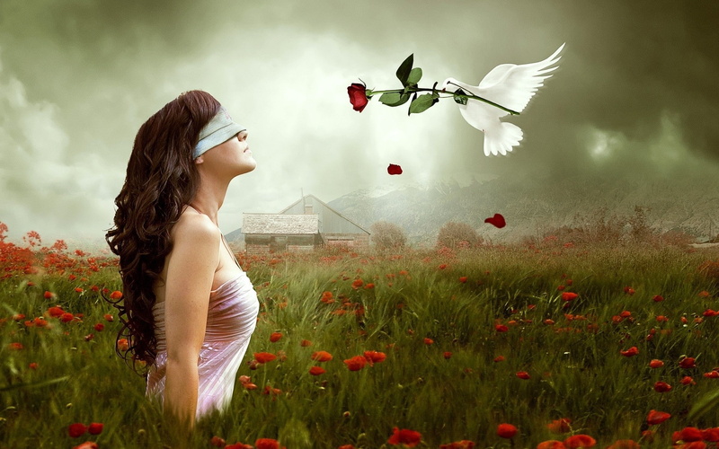 birds, mood, art, manipulation, flowers, nature, romance, dove, 1080P, love, landscapes, poppy, animals, gothic, digital, sky, emotion, blindfold, clouds