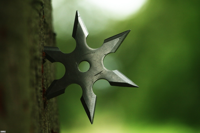 single object, nature, animal, animal themes, no people, ninja, wood, outdoors, weapon, 1080P, shuriken, old, celebration, shape, focus on foreground