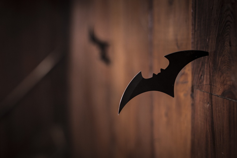 bird, focus on foreground, 5K, close-up, art and craft, craft, photo, wood, wood - material, representation, indoors, shuriken, black color, bat - animal