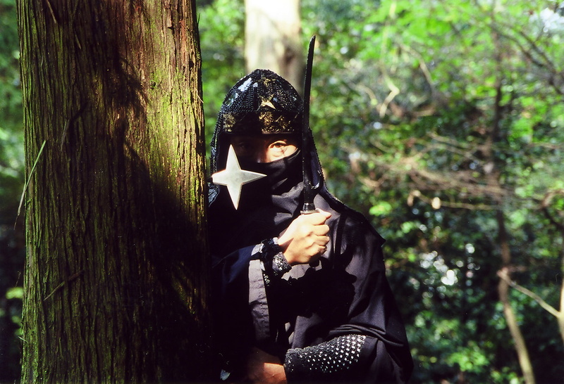plant, day, s, Japan, tanto, ninjutsu, black, sinobi, mask - disguise, hairstyle, front view, lifestyles, mask, 1080P, weapons, nature, person, shuriken