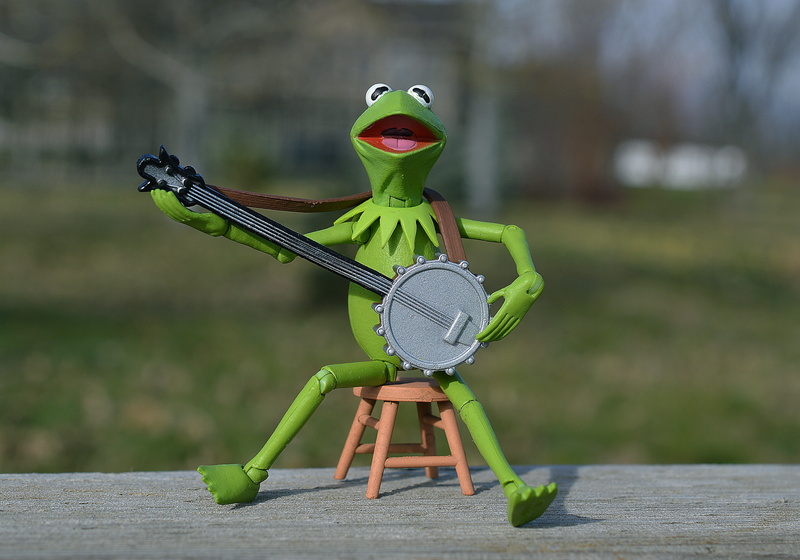 day, 4K, green color, offspring, singing, representation, muppet, plant, frog, green, grass, seat, males, childhood, banjo, amphibian, human representation