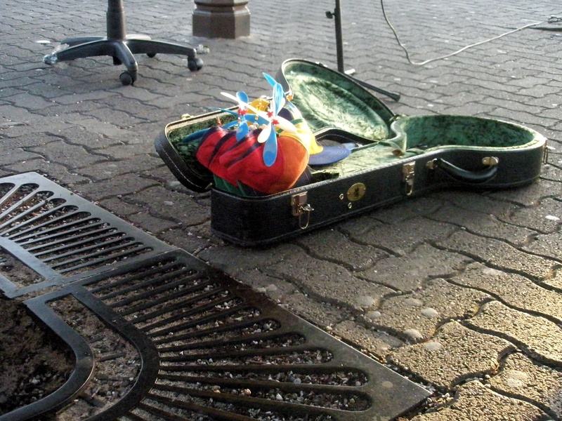 stone, urban, no people, street, nature, propeller beanie, busking, guitar case, flower, metal, high angle view, sidewalk, san francisco bay, san francisco