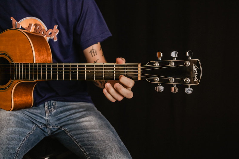 music, viola, one person, apparel, performer, midsection, skill, bass guitar, musical equipment, acoustic guitar, skin, artist, playing, electric guitar
