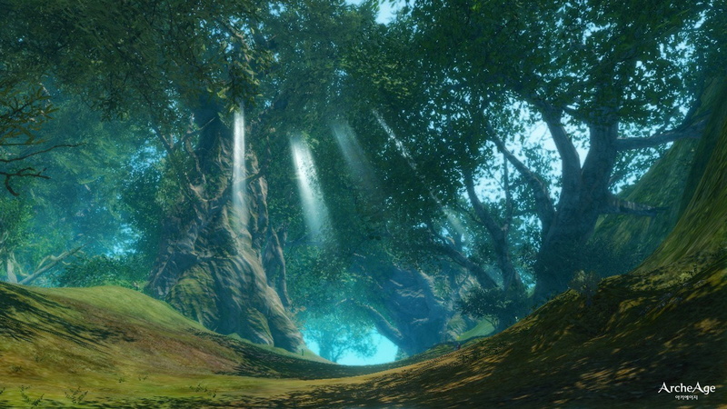 adventure, sandbox, 1080P, archeage, mmo, forest, mist, online, fog, rpg, fantasy