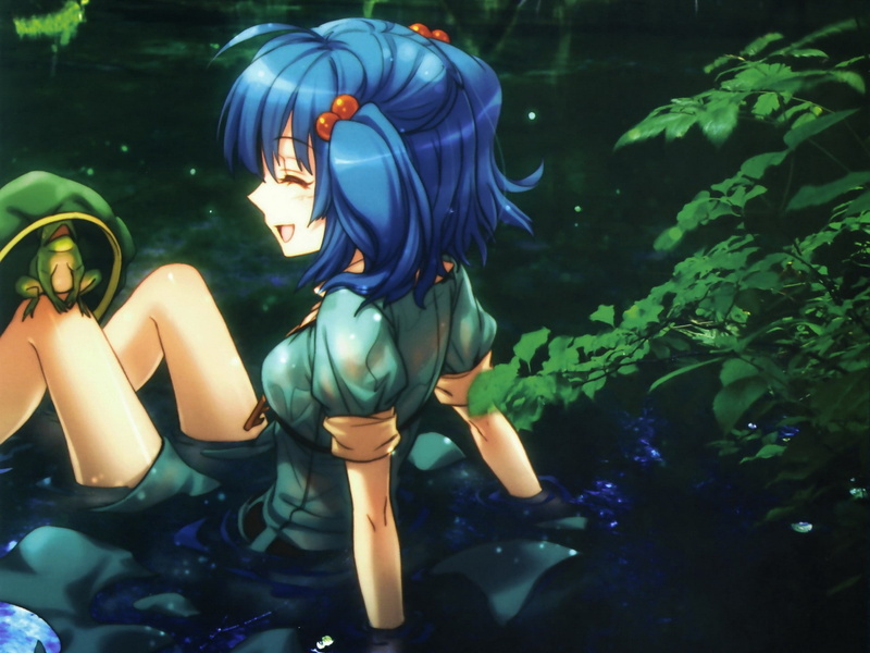 touhou, frogs, art, blue, dress, pond, games, animals, hair, 1080P, video, hd, twintails, short, trees, water, wet, Video Games, nature, sm