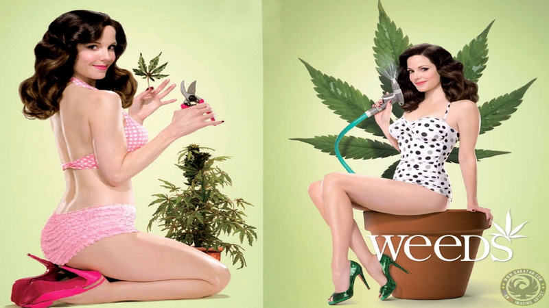 mary, ganja, louise, 420, marijuana, weed, 1080P, weeds, parker