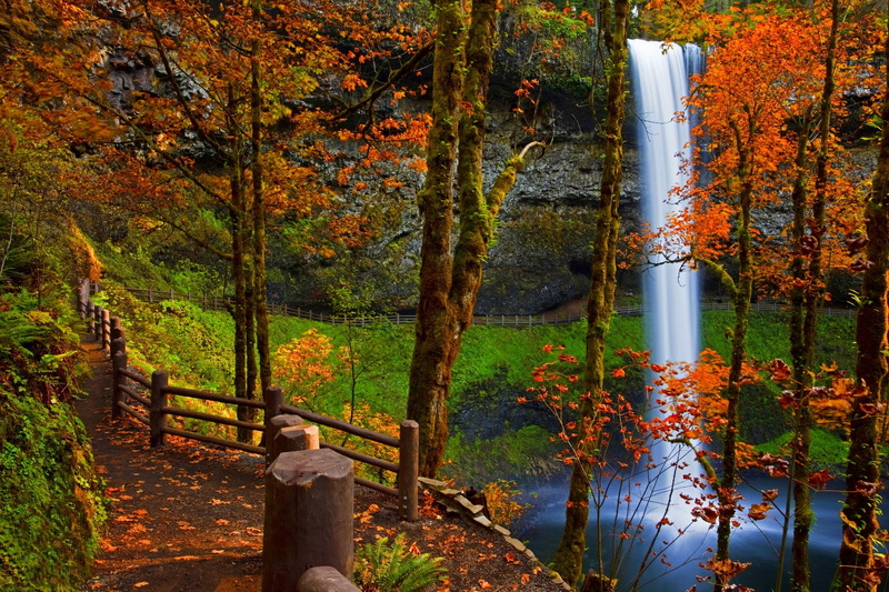 path, october, green Color, rocks, change, woodland, one person, multi Colored, road, waterfalls, walk, maple Tree, uSA, leaves, tree trunk, gold Colored