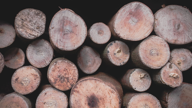 firewood, shape, wood - material, trees, brown, design, outdoors, backgrounds, lumber industry, vintage, style, nature, wood, abundance, deforestation