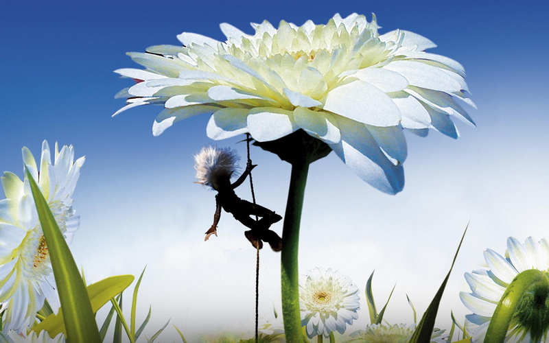 arthur and the invisibles, invisibles, 1080P, arthur, flowers, white, movie, luc besson, selenia, europa corp, movies