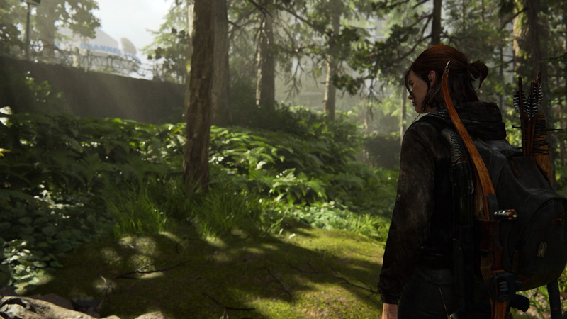 The Last of Us 2, Naughty Dog, Sony Playstation, 4K, Ellie Williams
