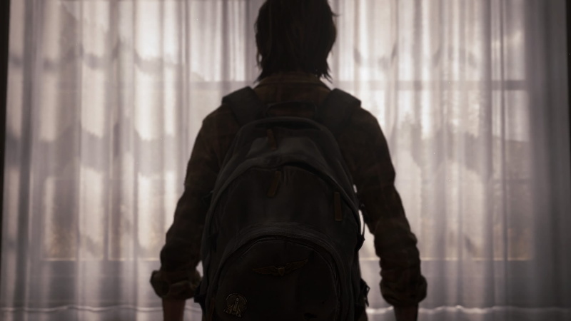 PlayStation, 1080P, The Last of Us, PlayStation 4, curtain, apocalyptic, Naughty Dog, curtains, Ellie, The Last of Us 2, backpacks