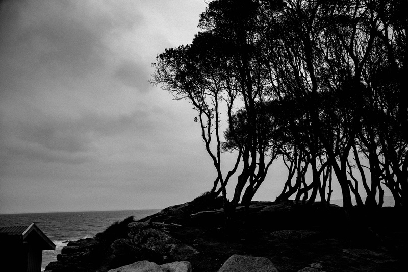 water, black and white, trees, cloud - sky, solid, plant, sky, day, tranquility, nature, beauty in nature, rock, sea, rock - object, tree, horizon, bretagne