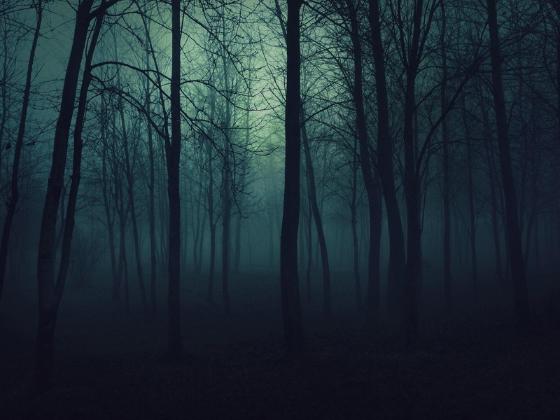 goth, 1080P, photography, forest, 3d and abstract, blue, nature, gothic, evening, dark, night