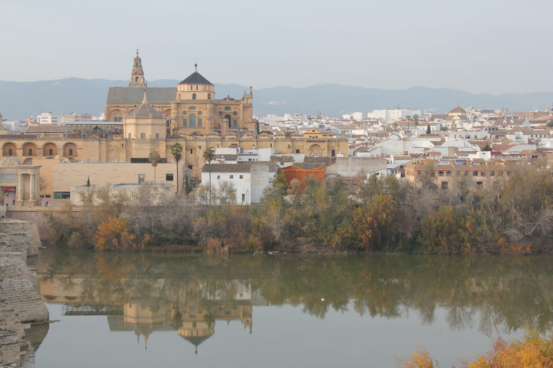 city, mosque-cathedral, 5K, mosque of cordoba, no people, townscape, religion, guadalquivir river, mosque, tree, day, cordoba, water, cathedral, spain