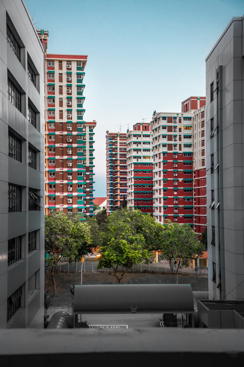 gray, office building, flat, sky, no people, housing, apartment building, clear sky, vertical, building exterior, sunlight, hdb, car, urban, window, plant