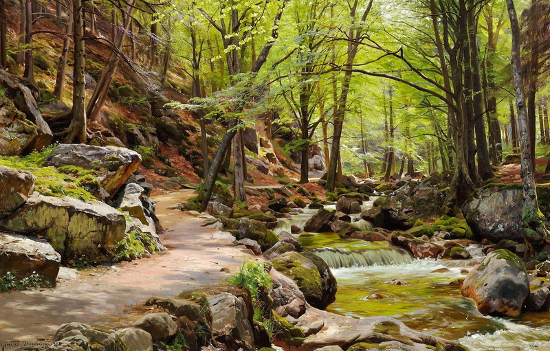 stones, 1080P, path, Uilenbergi Forest in the Harz Mountains, Peder Mørk Mønsted, picture, Peter Merk Of Menstad, nature, landscape, stream, river