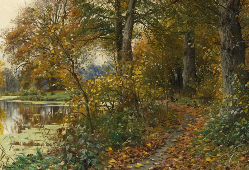 outdoors, tranquility, no people, river, autumn, picture, leaves, growth, beauty in nature, day, path, landscape, tree, architecture, plant, tranquil scene