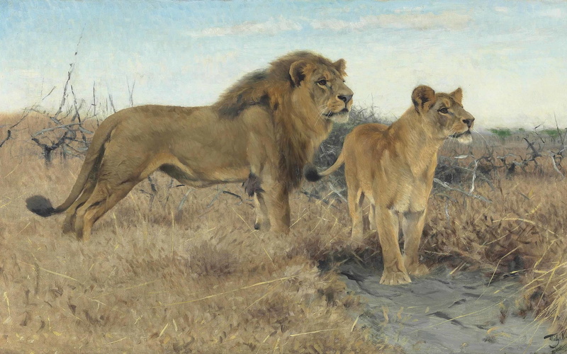 2K, German painter, Lions on the plains of Africa, Friedrich Wilhelm Kuhnert, 1922, Friedrich Wilhelm Kunert, Lions on the African plains