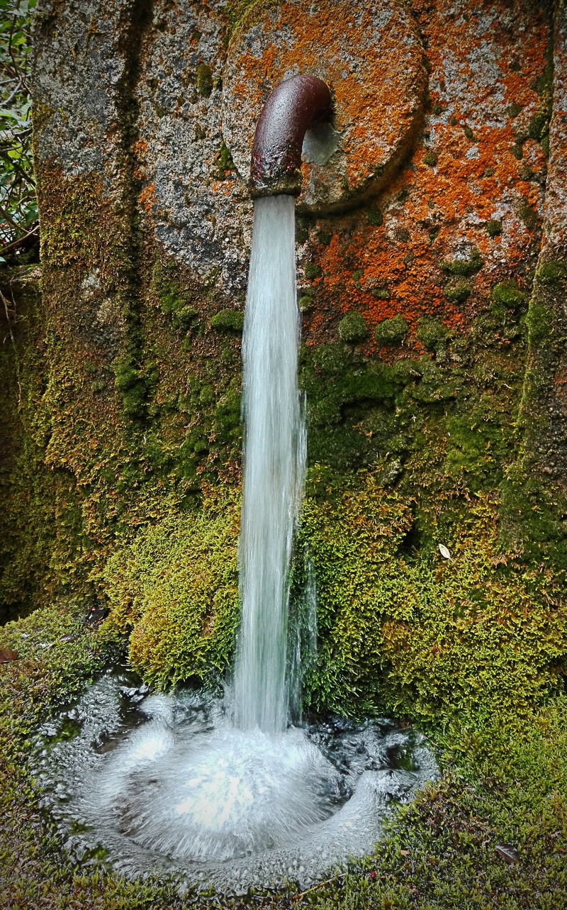 jet, old, crystal water, trees, sidewalk, walnut, autumn, river, melancholy, source, green, linares de riofrío, clear water, colors, freshness, drops of water