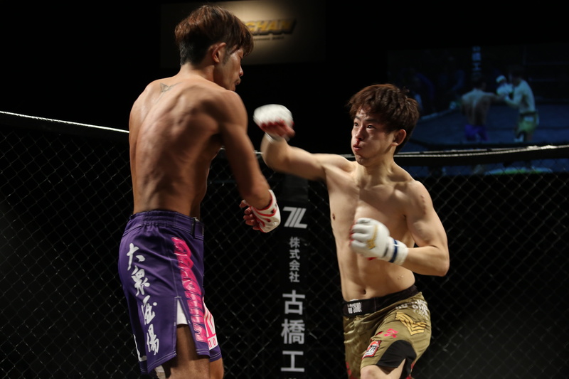 vitality, young adult, adult, shooto, athlete, gloves, strength, boxing - sport, maza fight, Mixed Martial Arts, 5K, standing, lifestyles, martial arts
