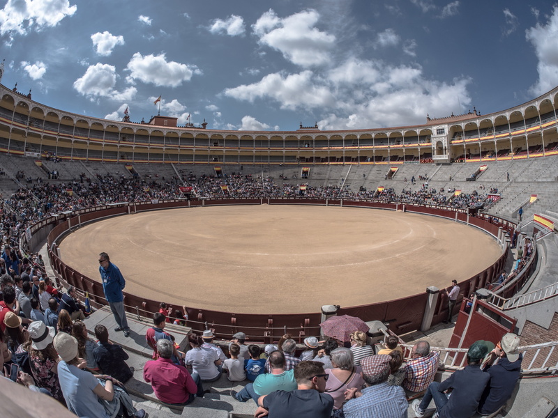group of people, high angle view, sky, Bullring, circle, spain, stadium, Toro, sport, ring, outdoors, spectator, 5K, activity, crowd, sand, Sales, built structure