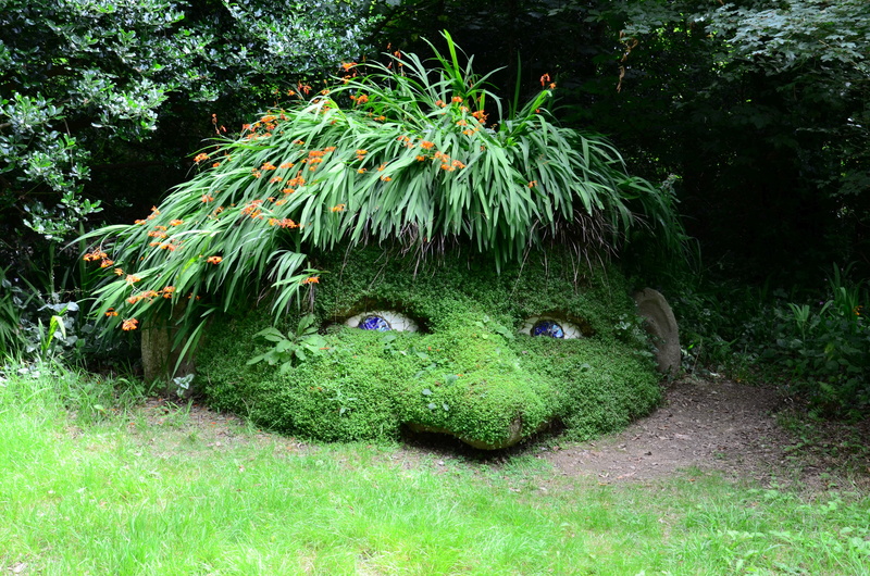 leaves, gnome, animal wildlife, hedge, formal garden, tree, green, head, animal representation, representation, grass, lost garden, dwarf, plant, garden