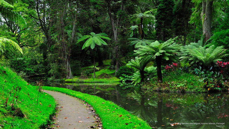 sao, garden, portugal, miguel, 2K, terra, islands, Flowers/Gardens, azores, nostra