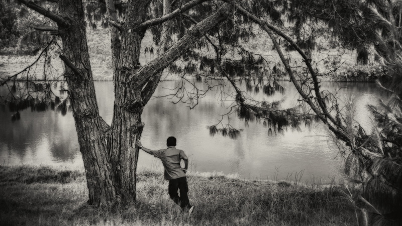 rear view, land, solitude, tree, lonely, full length, plant, nature, people, outdoors, beside, tree trunk, 4K, man, orton effect, one person, grass, focus on foreground