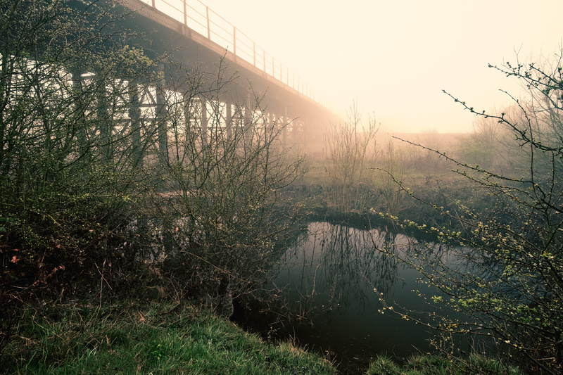 mist, tranquility, sun, abandoned, architecture, beauty in nature, forest, water, pond, bridge, reflection, tree, growth, lens flare, castleford, light