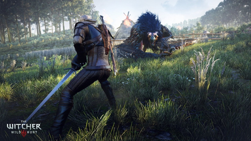 action, wild, 2K, Witcher, Dark, rpg, Fighting, fantasy, Hunt, 2560x1440 px, warrior, 3, three