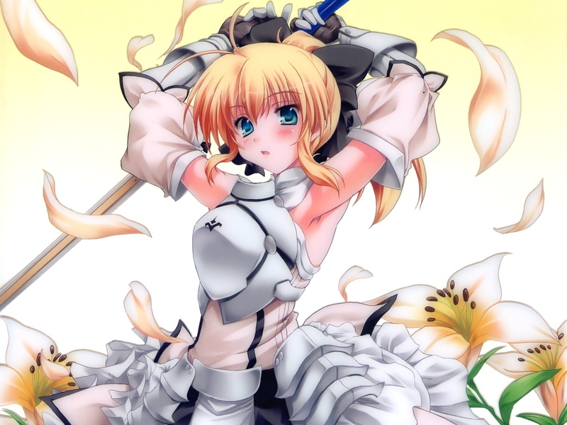 codes, fate, series, saber, unlimited, Fate/stay Night, night, hd, fatestay, 720P, lily, Fate Unlimited Codes, stay, art, anime