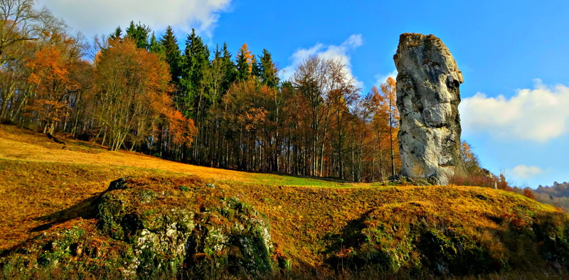 summer, formation, trees, solid, landscape, tranquil scene, grass, scenics, rock formation, scenics - nature, poland, environment, surrounded by nature