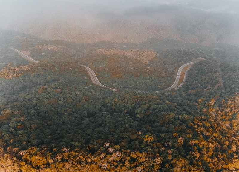transportation, spark, aerial view, fernaodias, saopaulo, tree, landscape, environment, drone, mountain, dji, fog, nature, non-urban scene, plant, day