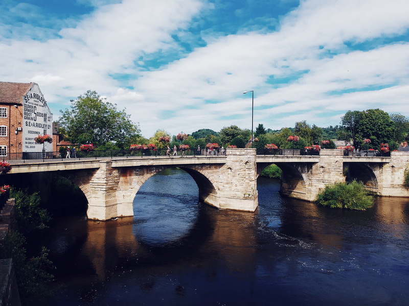 bridge, outdoors, waterfront, water, nature, arch bridge, spark, tree, united kingdom, 4K, connection, engineering, transportation, arch, plant, day, cloud - sky