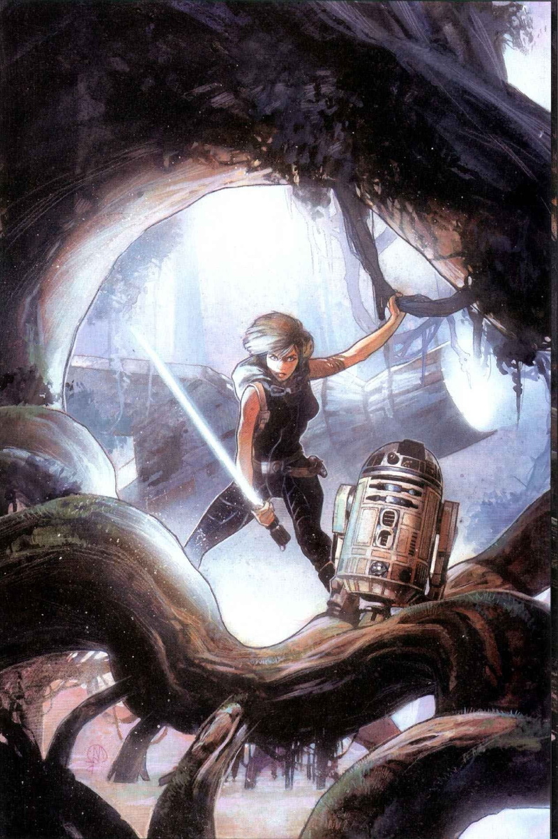 star wars fantasy art mara jade, human arm, real people, young women, 720P, reflection, indoors, portrait, casual clothing, full length, lifestyles, nature