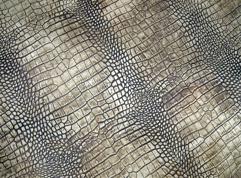 nature, texture, 4K, crocodile, close-up, outdoors, animal, reptile, backgrounds, wildlife, scale, animal Scale, textured, no People, indoors, leather
